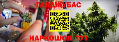 мяу мяу мука Будённовск